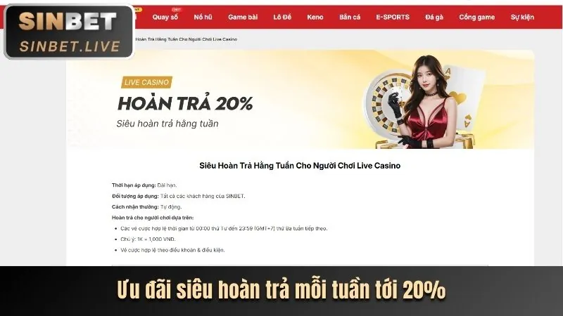 Chương trình VIP 88casino.com